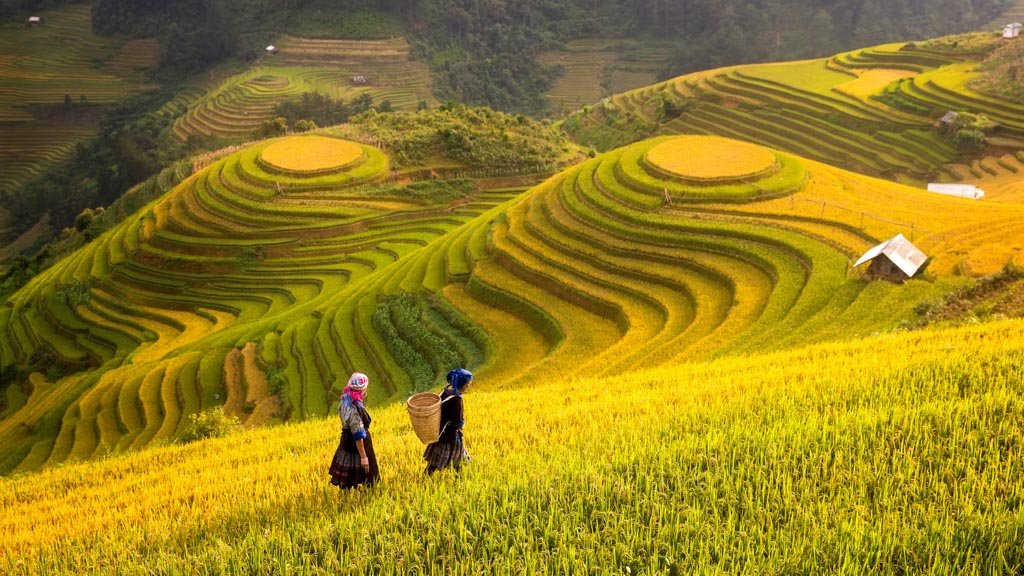 Sapa-Vietnam-With-Kids.jpg
