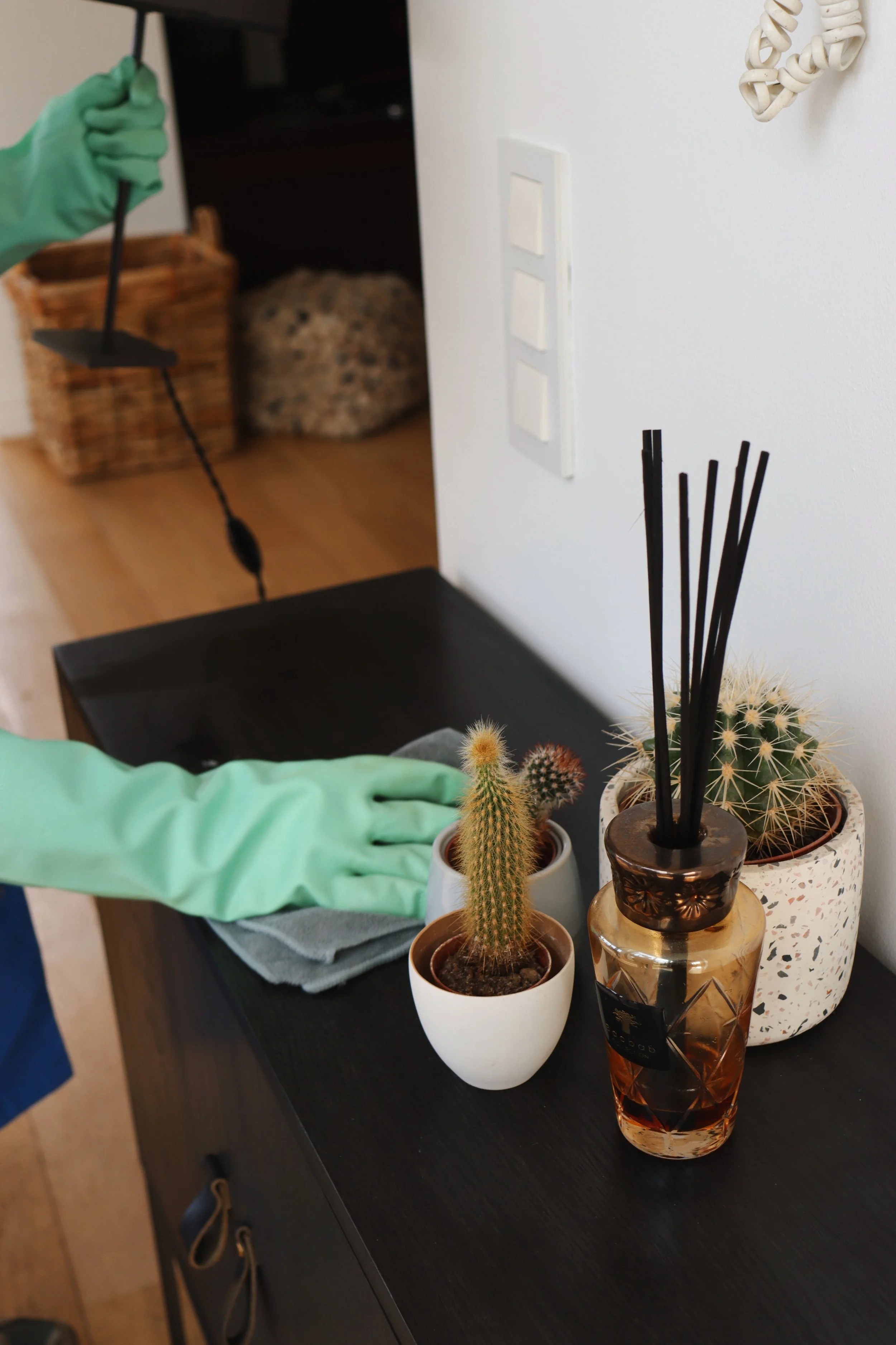 clean My House @PIMP_CMH_1902_34.JPG