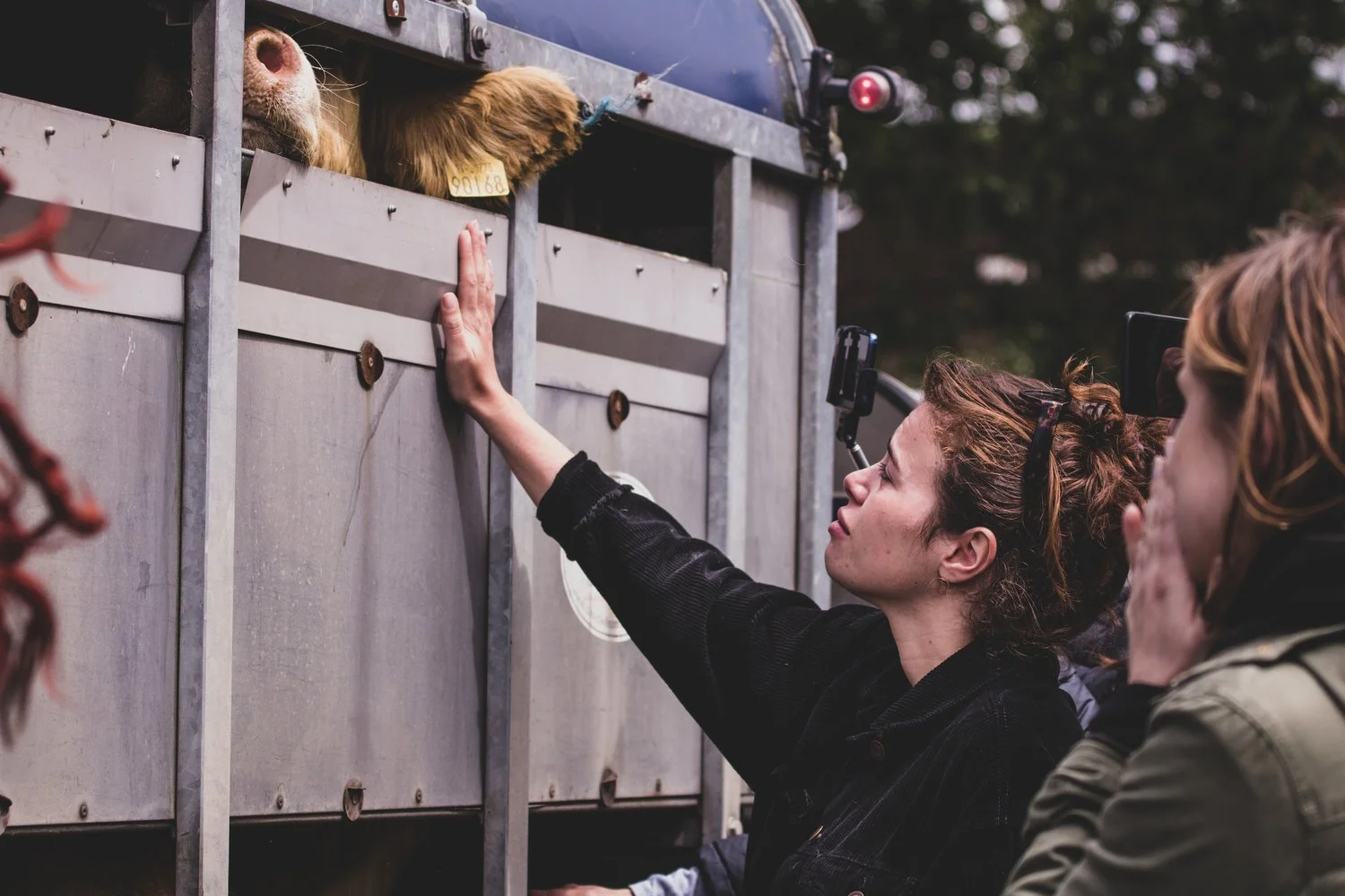 2019 Vegan Hacktivists Year Review!