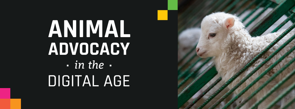 Are Animal Advocates Tech-Savvy? Insights From Our Movement