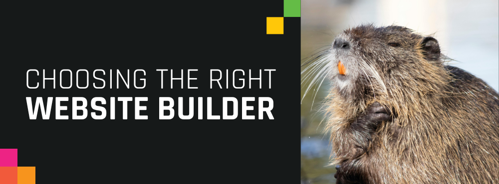 Squarespace vs. WordPress: We Think the Winner is Clear