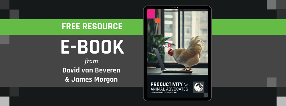 How to Be More Productive in Animal Advocacy