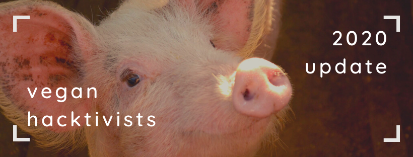 It's Been Awhile: New Projects, Advisors, and More!