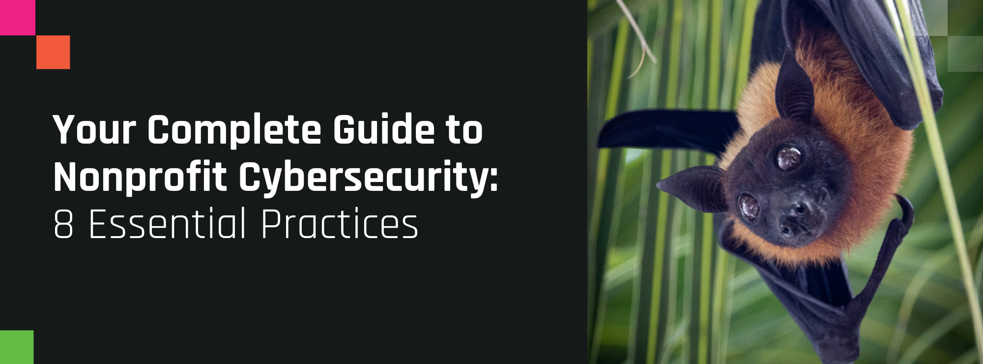 Your Complete Guide to Nonprofit Digital Security