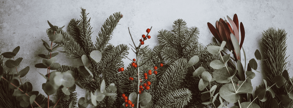 How to Navigate the Holiday Season