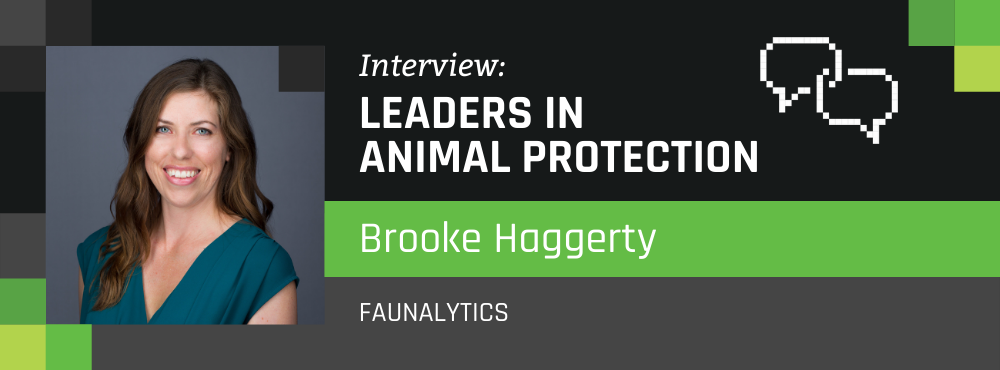 Leaders in Animal Protection: Brooke Haggerty
