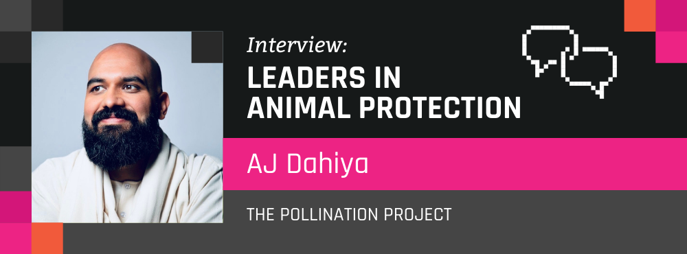 Leaders in Animal Protection: AJ Dahiya