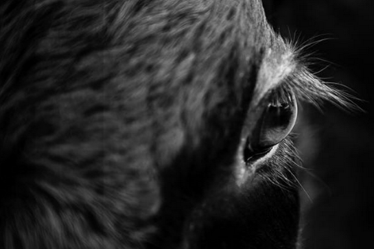 New Website, New Teams, New Projects!