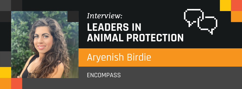 Leaders in Animal Protection: Aryenish Birdie