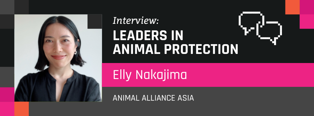 Leaders in Animal Protection: Elly Nakajima