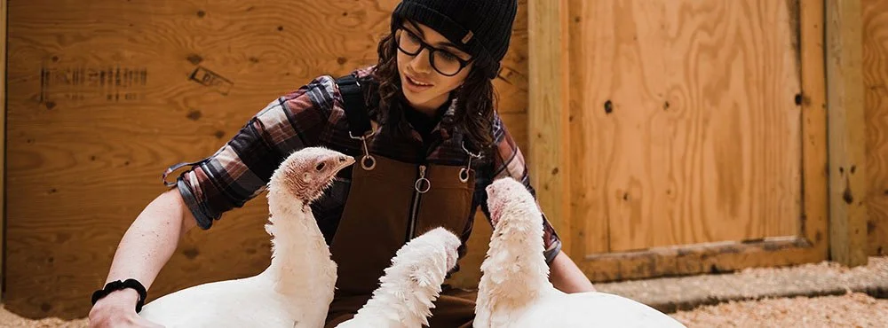 Technology in Sanctuaries: Diverse Solutions to Diverse Problems