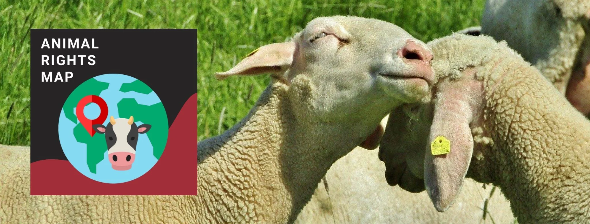 Get Involved With Our New Animal Rights Map — Vegan Hacktivists