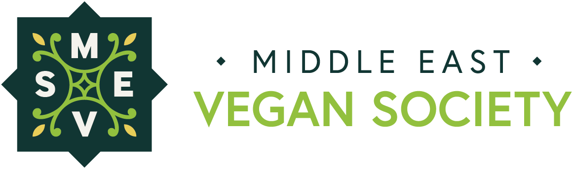 MEVS_Logo_Horizontal_FullColorDark.png