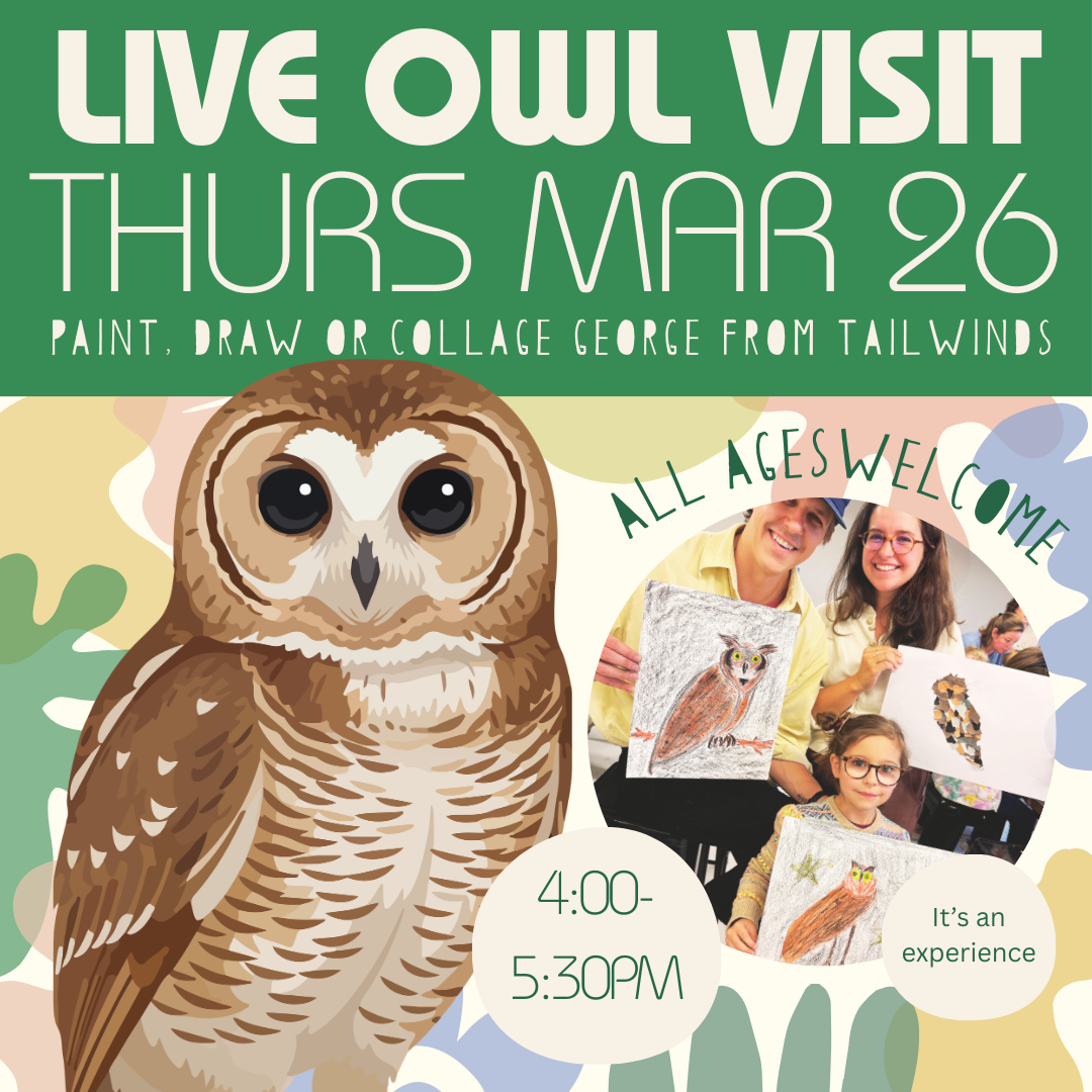 Live Owl Model | Mar 26 | 4-5:30pm