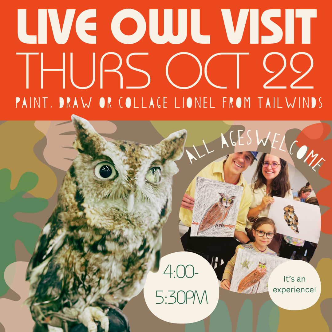 Live Owl Model | Oct 22 | 4-5:30pm