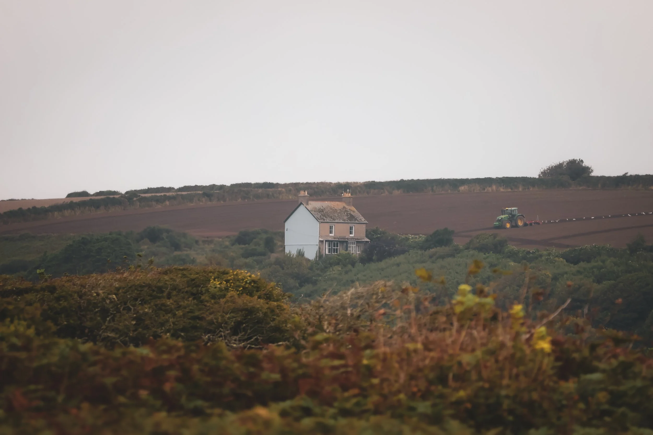 image00014.jpeg