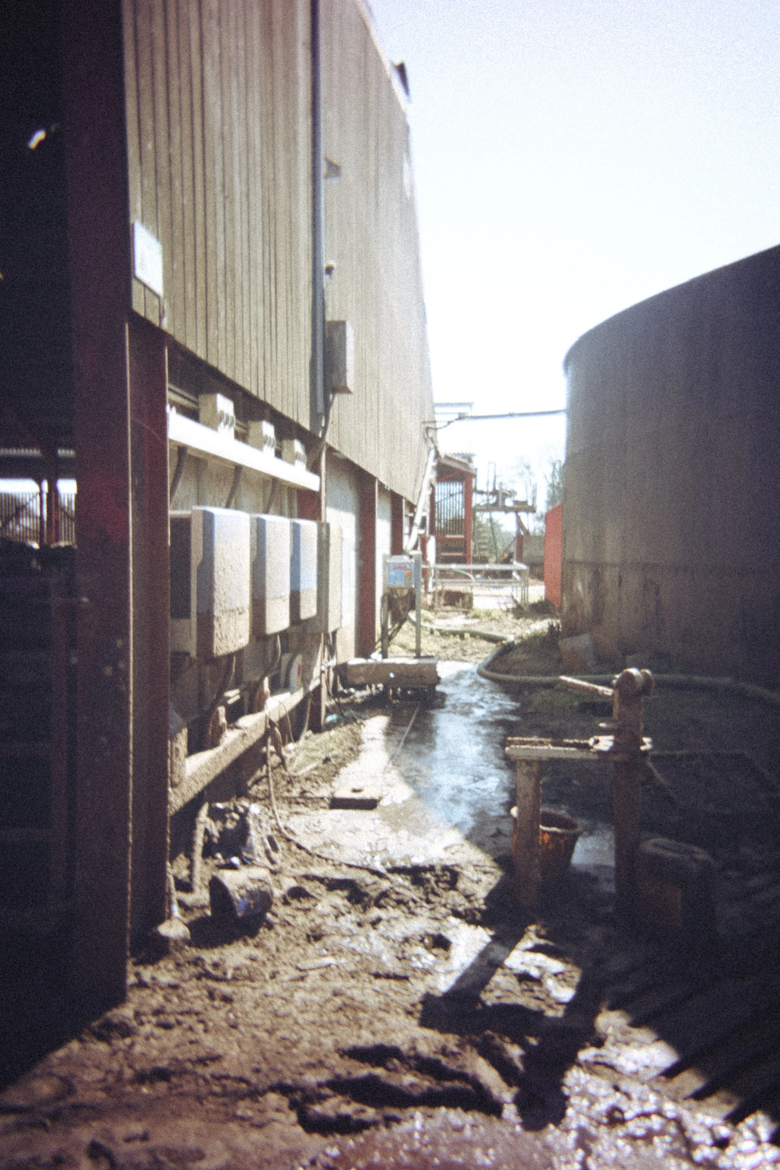 image00028.jpeg