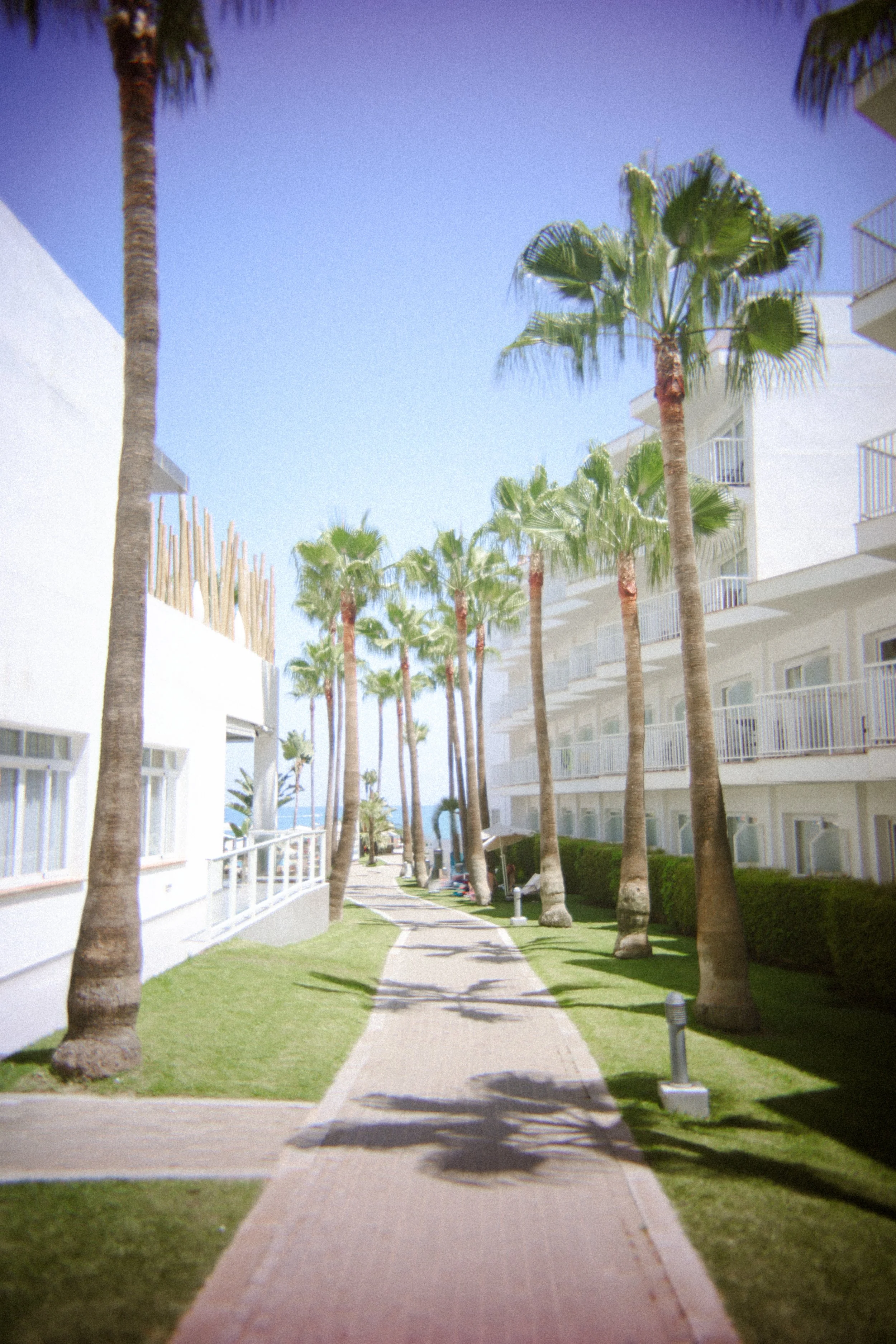 image00042.jpeg
