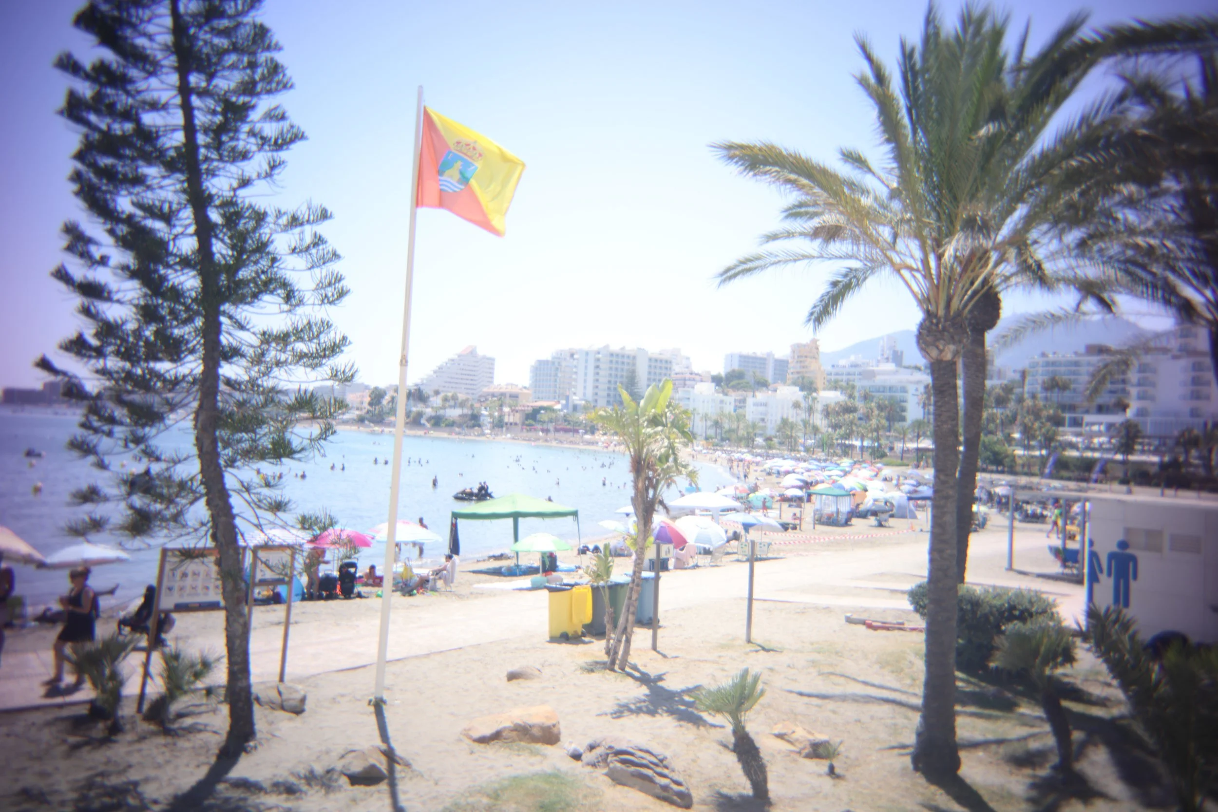 image00047.jpeg
