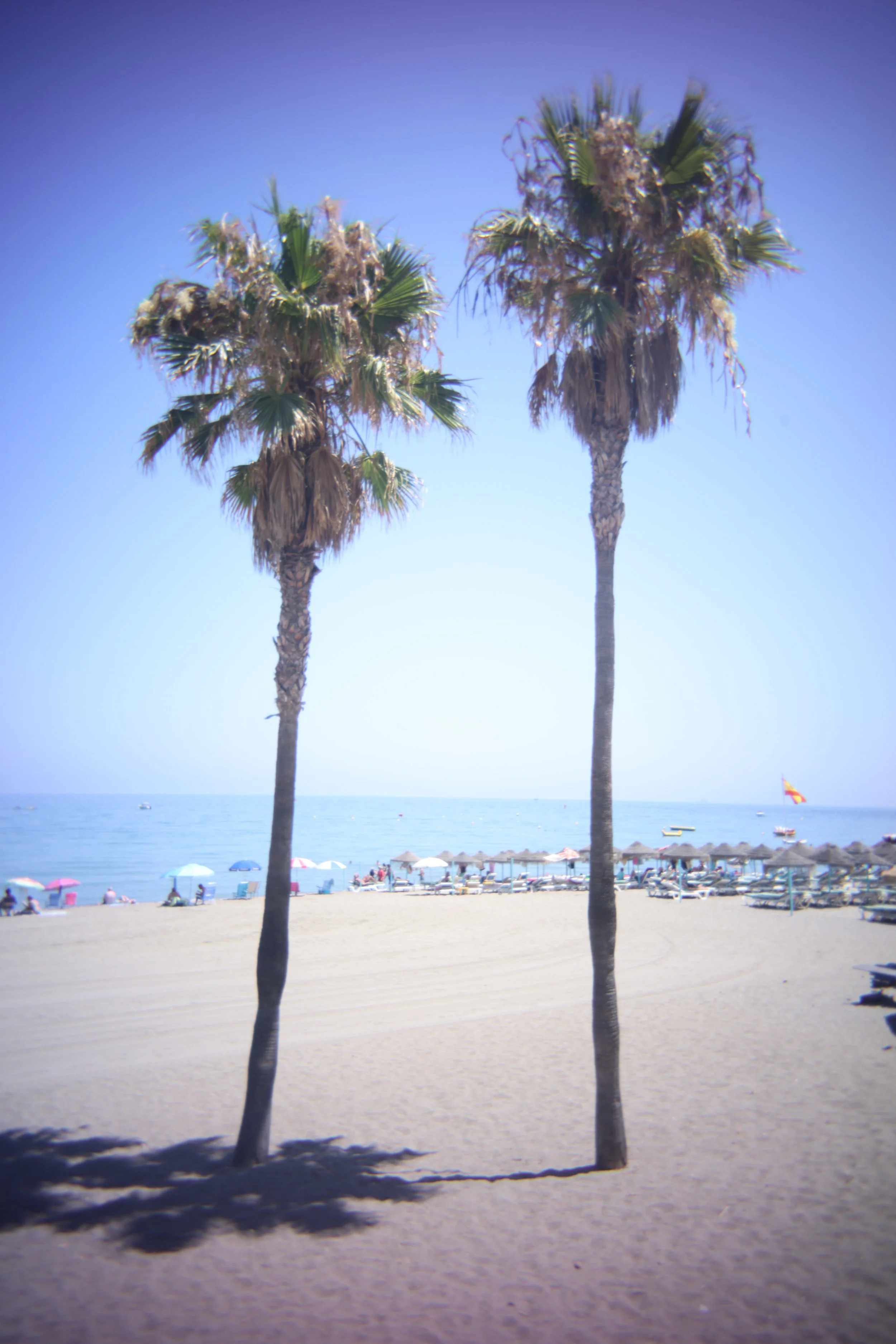 image00052.jpeg