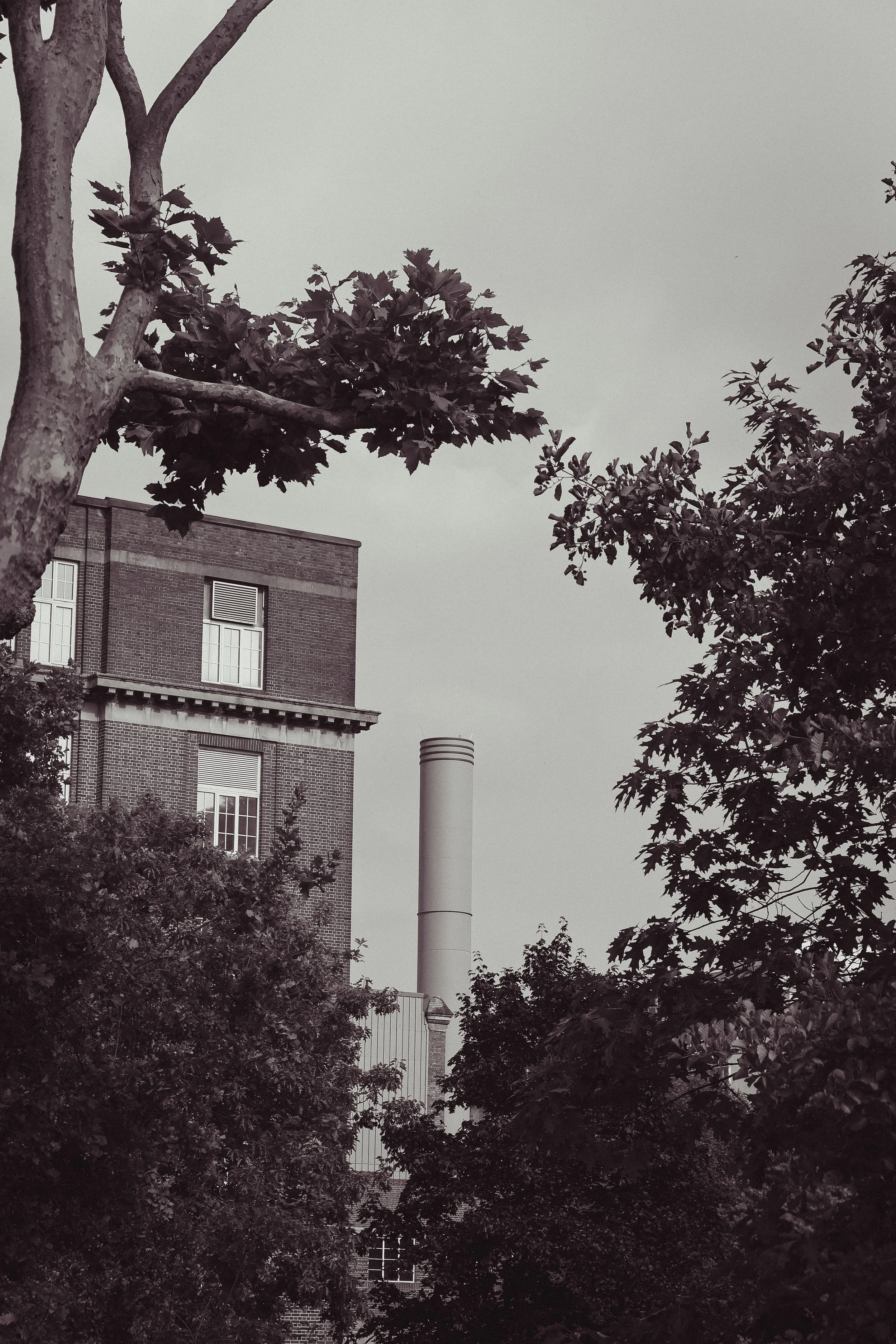 Cadbury, Bournville