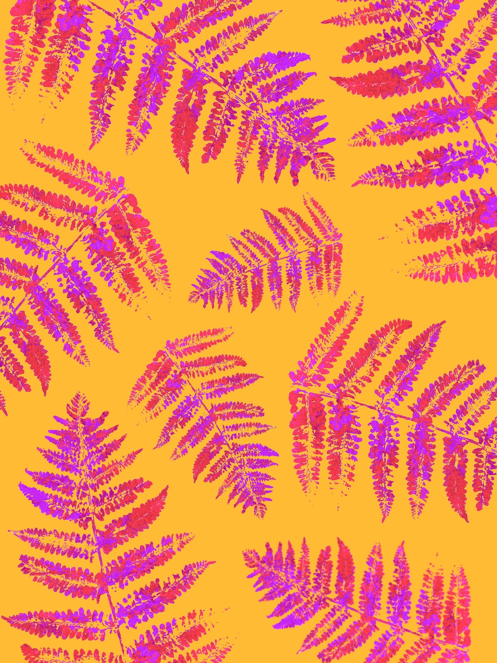 Untitled_Artwork.jpg