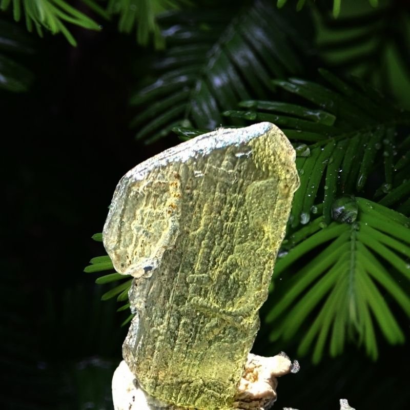 Echter Moldavit aus Ločenice, Böhmen – Kosmisches Erbe & Intensive Transformation (ca. 1,33 g) - PRANA Edelsteine – Handgefertigter Edelsteinschmuck