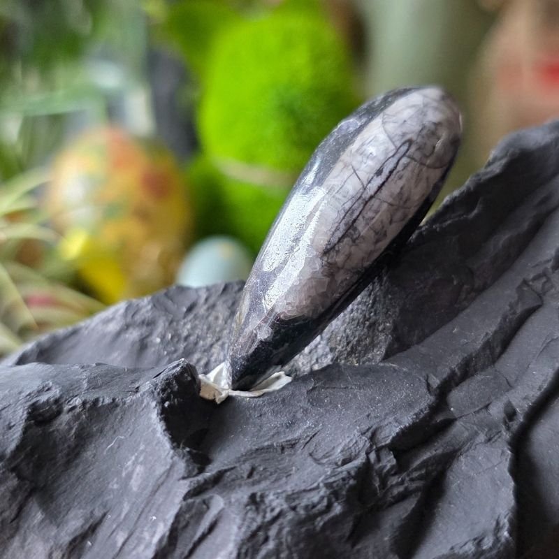 Orthoceras-Fossil Anhänger – Zeitreise zum Tragen