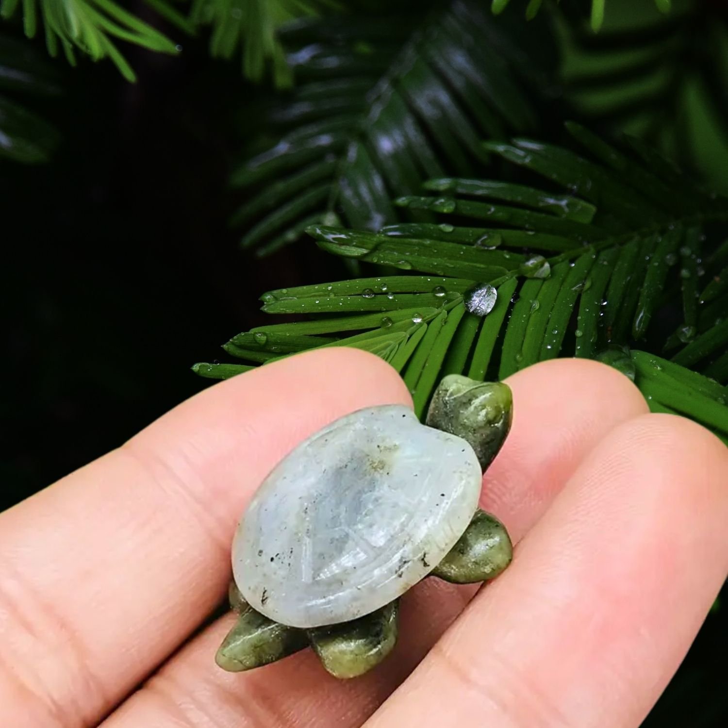 Edelstein Schildkröten Labradorit Unakit Jaspis Lapis Glücksbringer Schutz (6).jpg