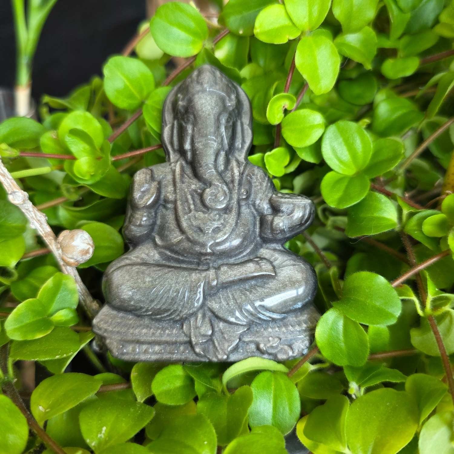 Ganesha Figur aus Silber Obsidian sitzend inmitten von grünen Pflanzen, die silbernen Reflexe sind sichtbar