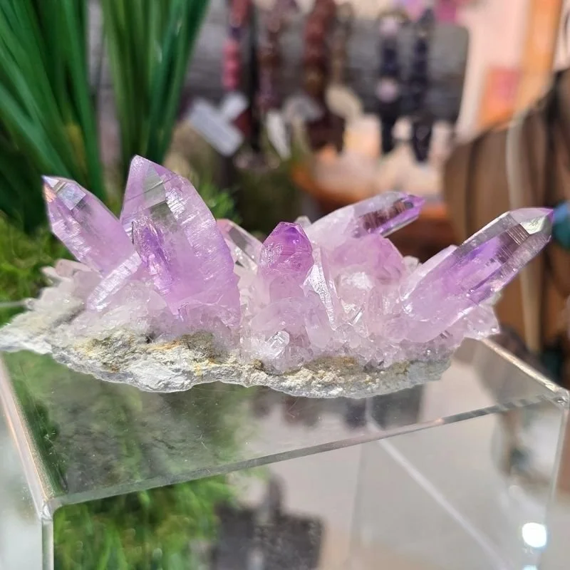 Amethyst Kristallstufe "Geistige Klarheit" | Las Vigas, Mexiko | ca. 10 cm | Top-Qualität