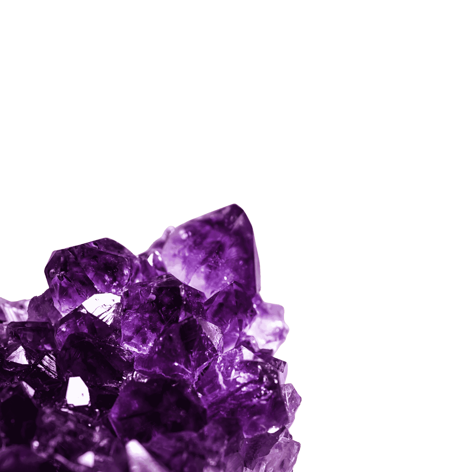 Amethyst Druse – violette Kristallstufe für Frühlingsangebot bei PRANA Edelsteine