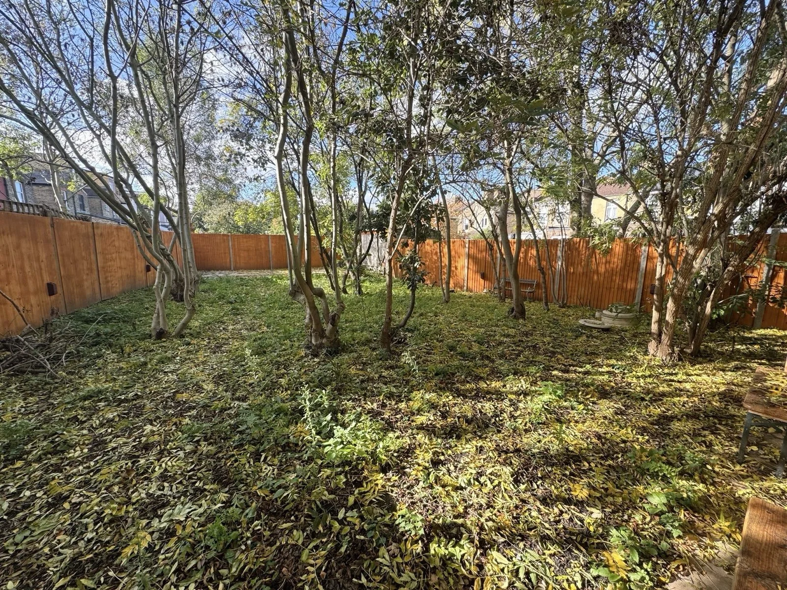 Backyard with trees and a wooden fence, covered with fallen leaves and some patio furniture.