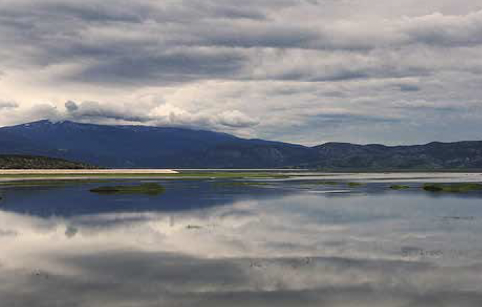 MELD_Message in a Bottle_Volos.jpg