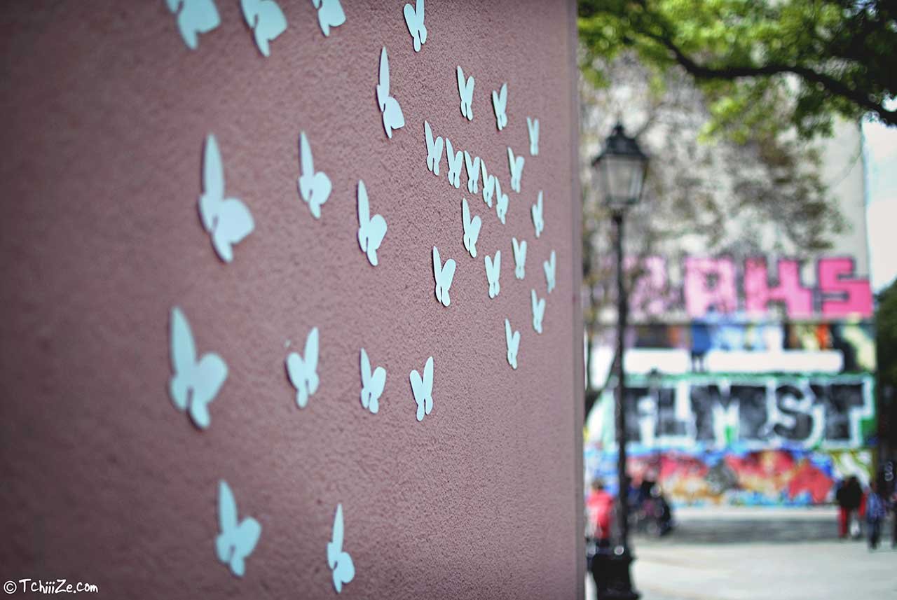 Milan-Rai_White-Butterflies_DSC0057_TchiiiZe_sm.jpg