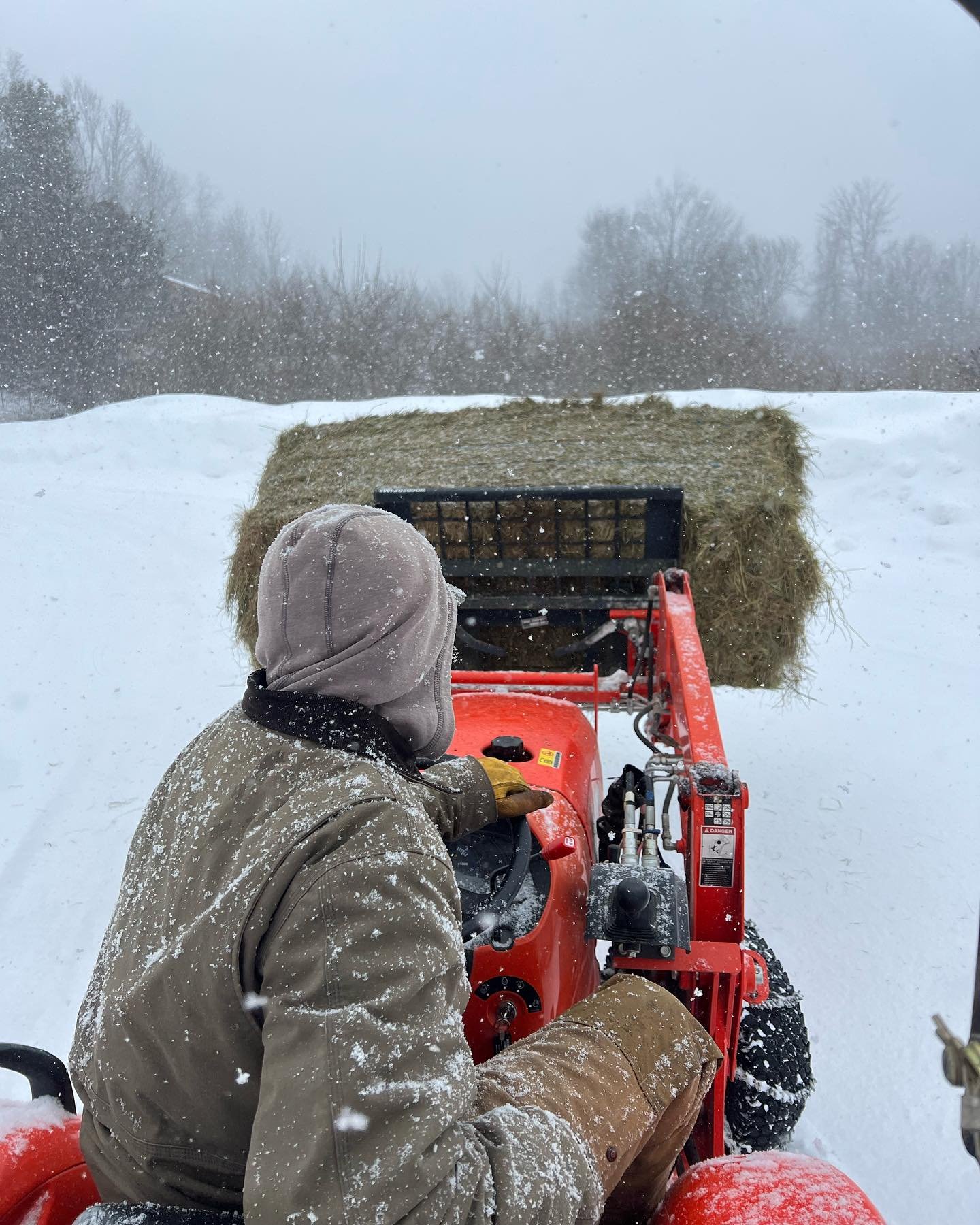 Feeding animals in the winter is no walk in the park, it&rsquo;s tractor work in a blizzard. Another big weekend of projects done. Mucked out the thick bed pack and retrieved a couple more big squares from our neighbor. S/o to our friendly neighbor w