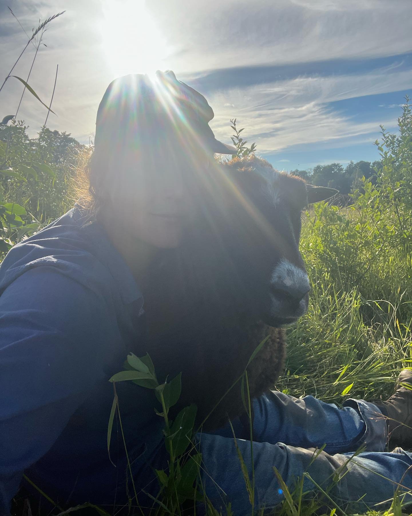 I was reading a substack article by Shannon Willis, and what she said of abundance shook me. 

&ldquo;Abundance isn&rsquo;t polite, abundance is wild. It doesn&rsquo;t arrive neatly folded. It unravels from chaos, untamed. It doesn&rsquo;t flow in st