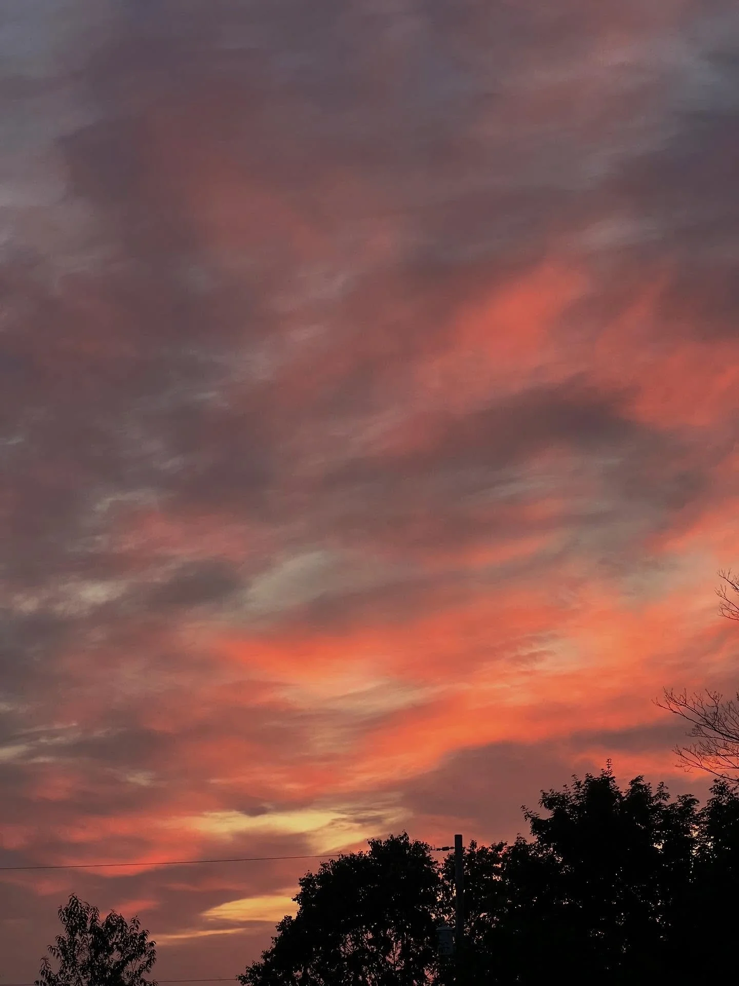 Scenes from a place I have come to know as home. 

Moving sheep. Cutting flowers. Collecting herbs. Drinking lots of tulsi. Watching everything grow.