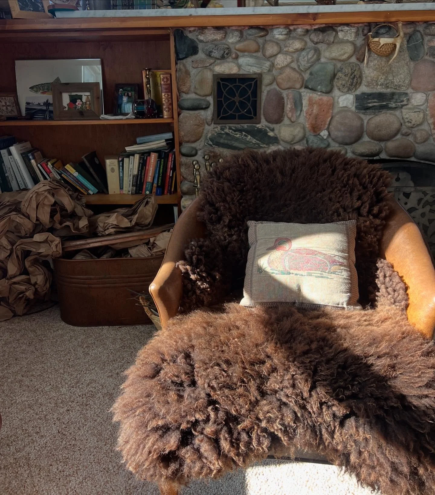 Cozy season is nearing. We are taking pre-orders for this years&rsquo; naturally tanned sheepskins. 

I&rsquo;ve used them in so many ways. Take them outside to sit and read in the sun or on the floor in front of a warm fireplace. They&rsquo;ve held 