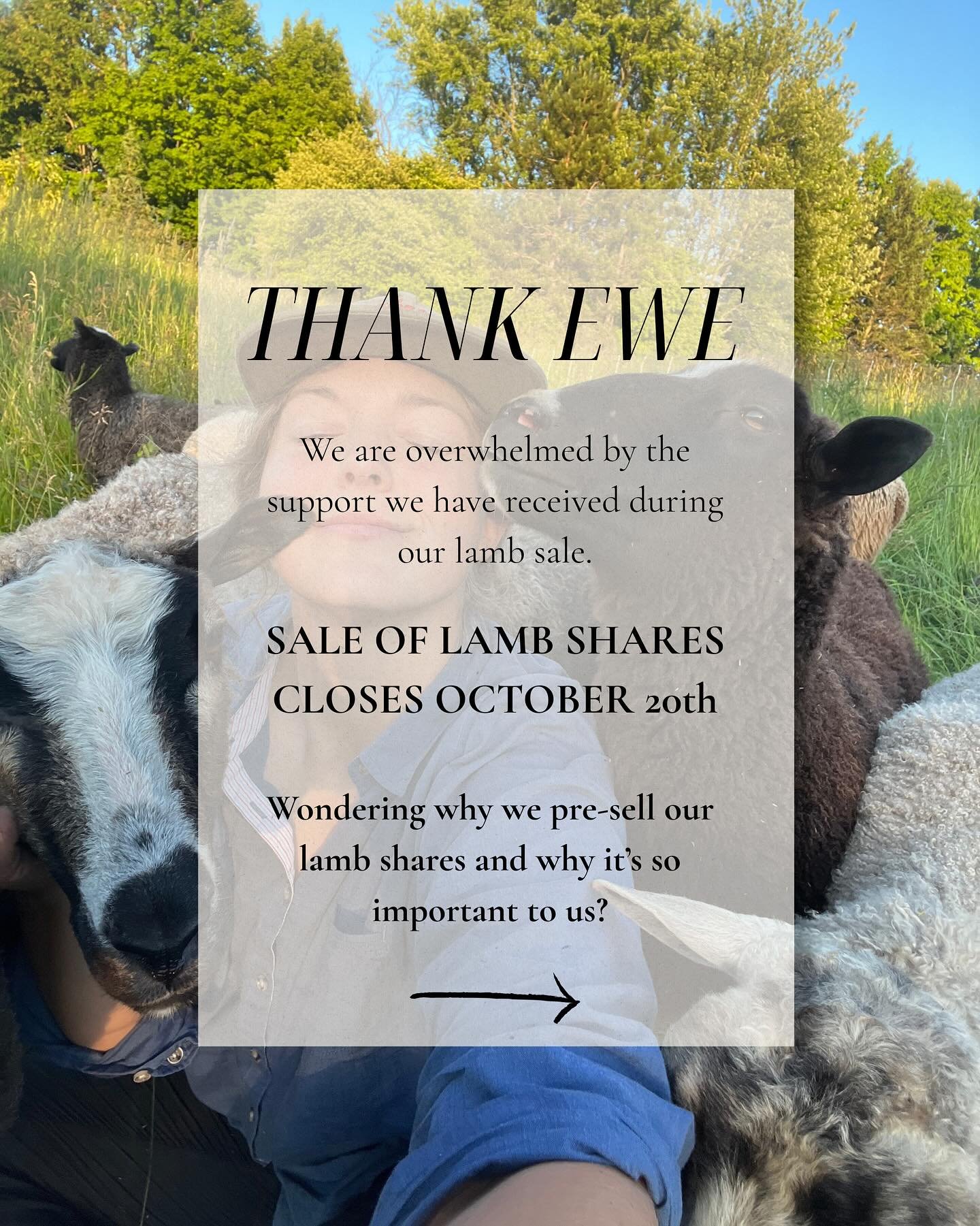 Lamb Shares will be closing soon! 

OCTOBER 20th will be the last day to order your grassfed goodness.

With love,
Pastura