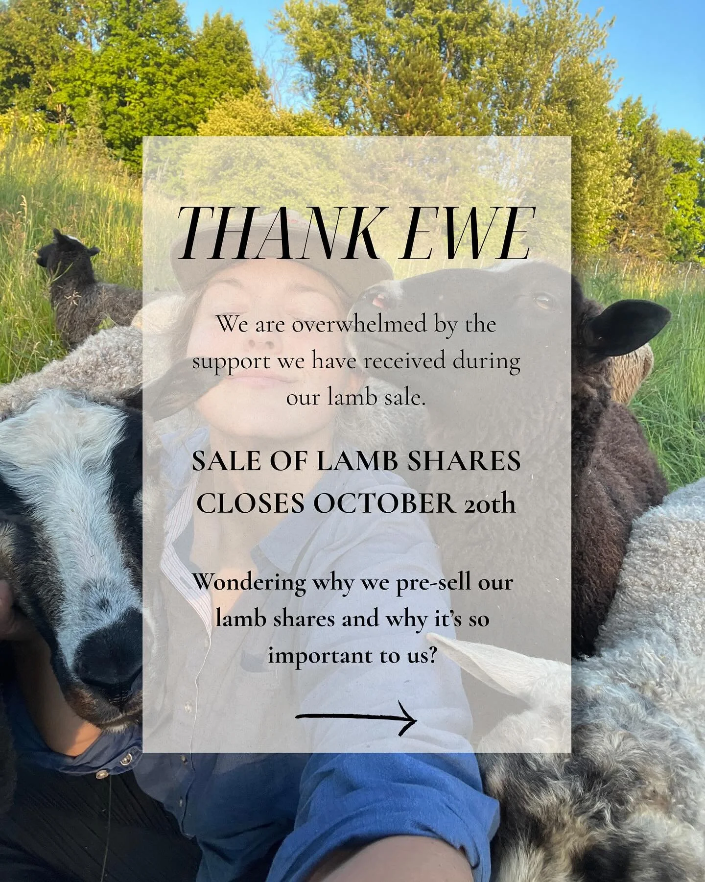 Lamb Shares will be closing soon! 

OCTOBER 20th will be the last day to order your grassfed goodness.

With love,
Pastura
