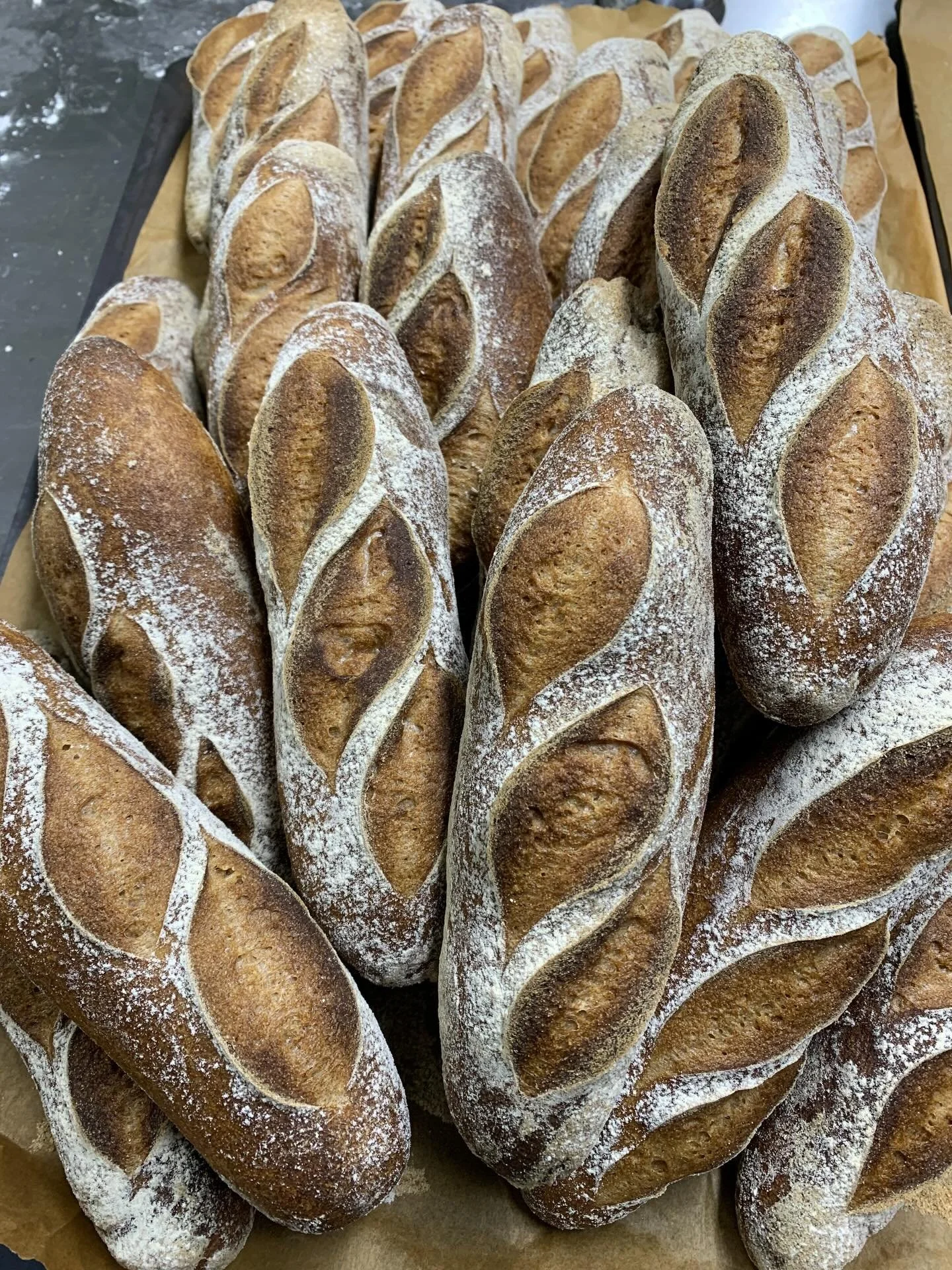 Several freshly baked gluten-free loaves of bread on parchment paper, dusted with flour.