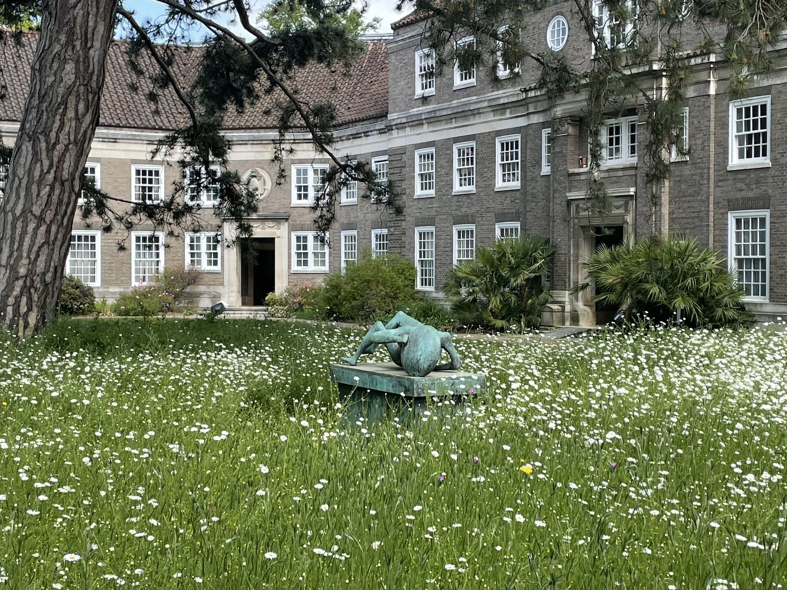 A courtyard with lush green grass, white flowers, a bronze sculpture, and a historical brick building with multiple windows partially obscured by a large tree with hanging branches.