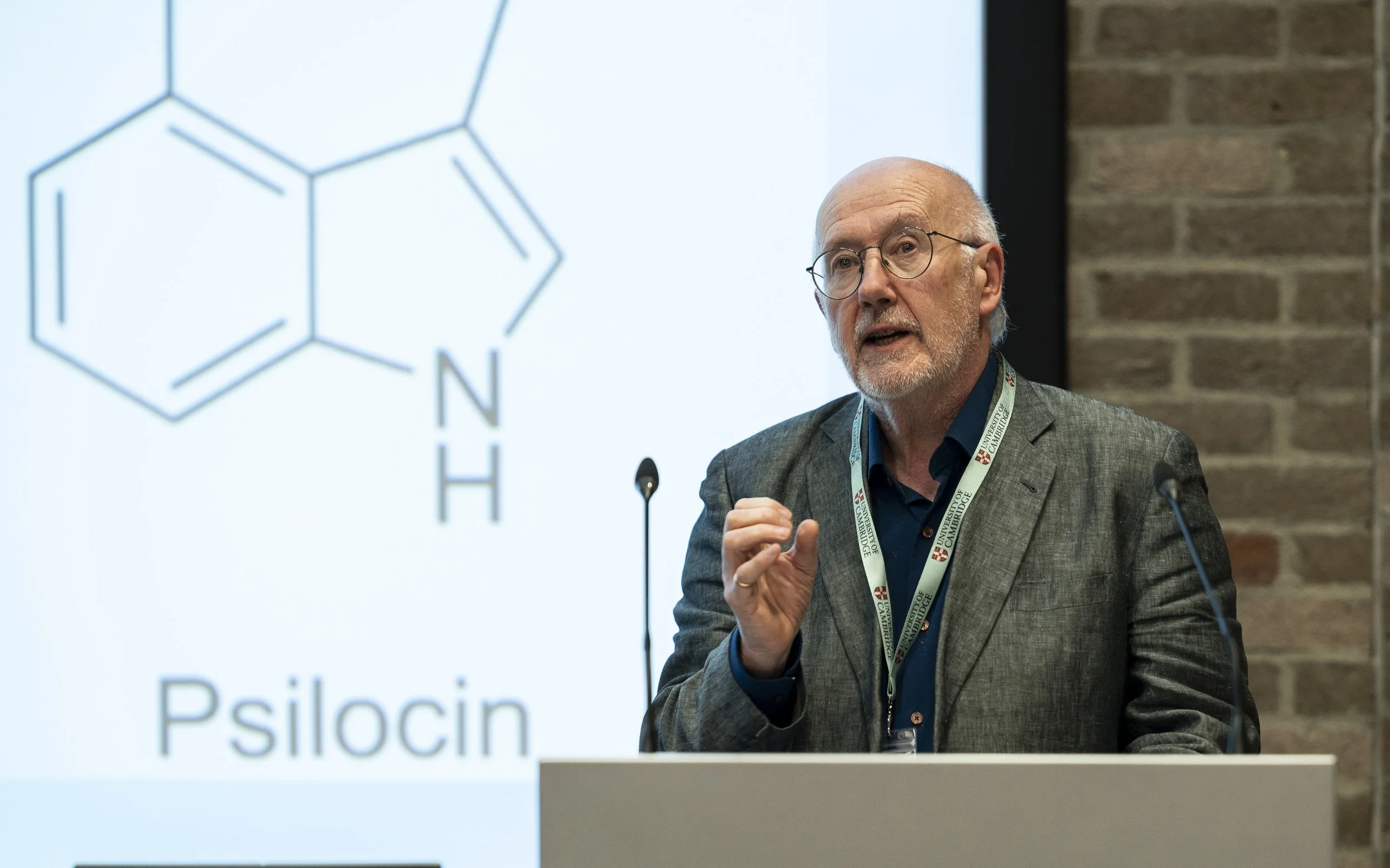 An older man with glasses, a gray beard, and wearing a gray suit jacket and a blue shirt, giving a presentation at a conference. Behind him is a screen displaying a chemical structure and the word "Psilocin." The background includes a brick wall.