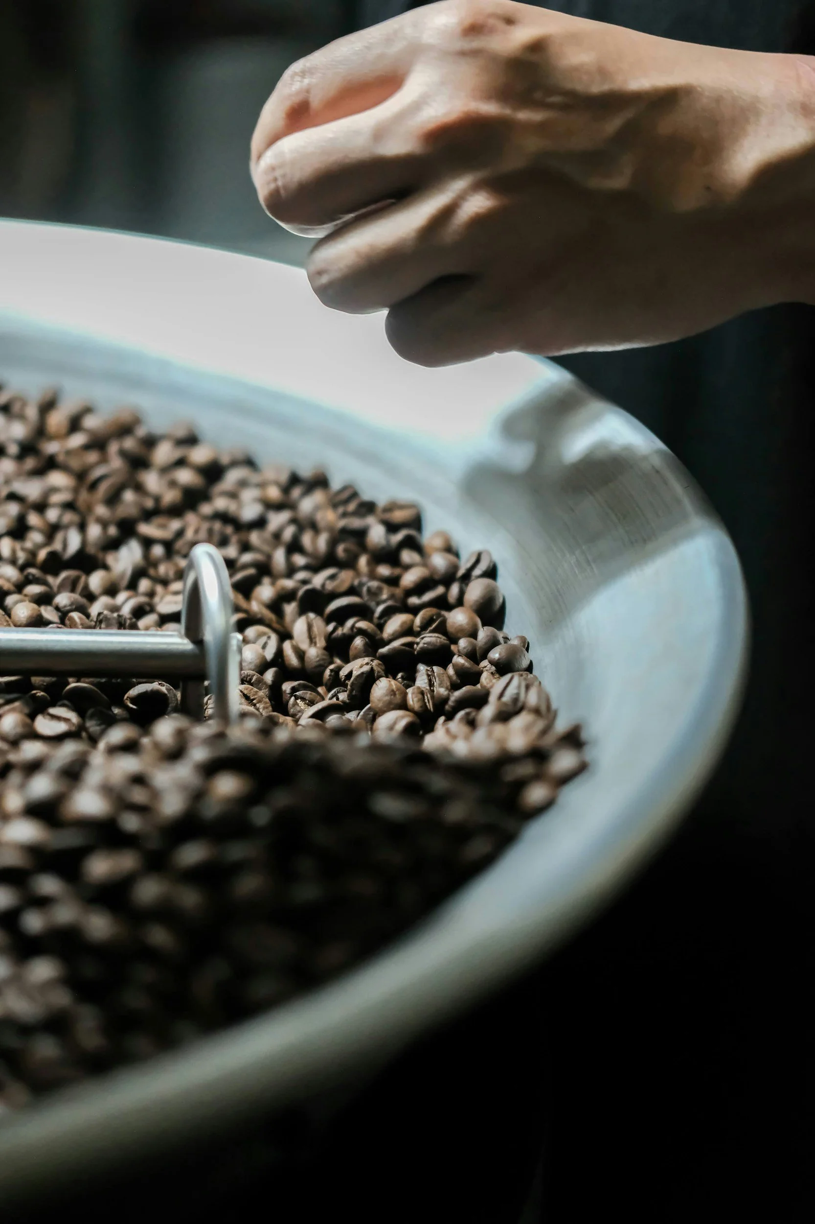 Close-up van een hand die koffiebonen vasthoudt boven een tray met koffiebonen.