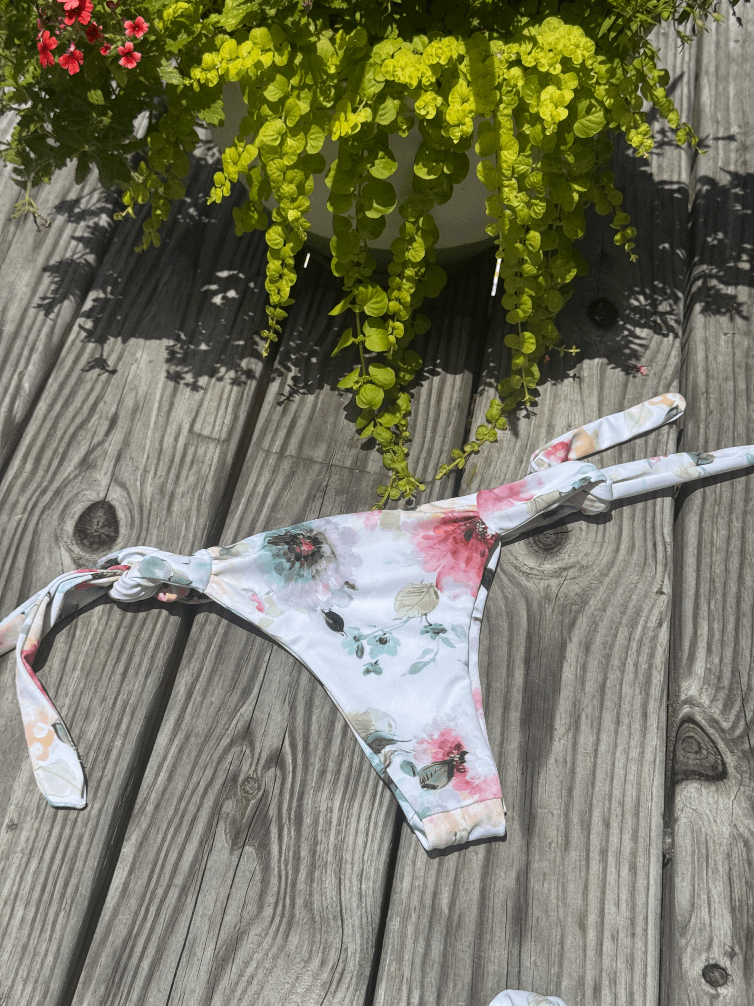 petals in paradise