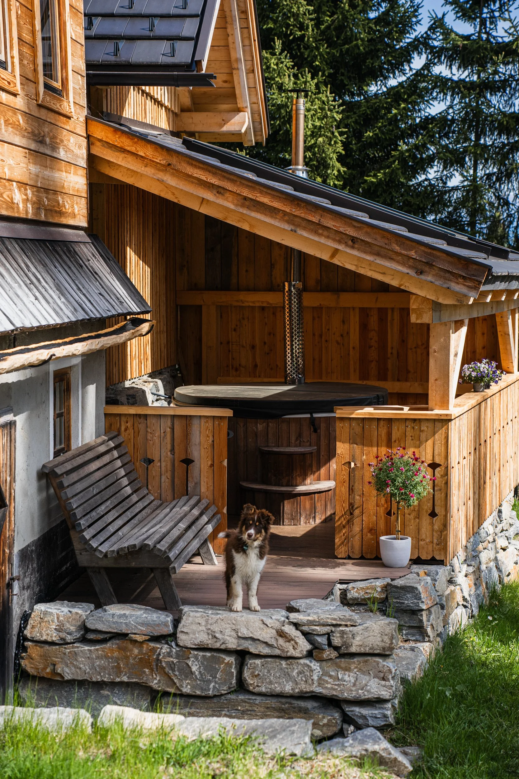 Almhütte mit Veranda, ausgestattet mit einem Whirlpool, auf dem eine Hund steht. Es gibt Pflanzen und eine Holzbank. Hintergrund mit Bäumen.