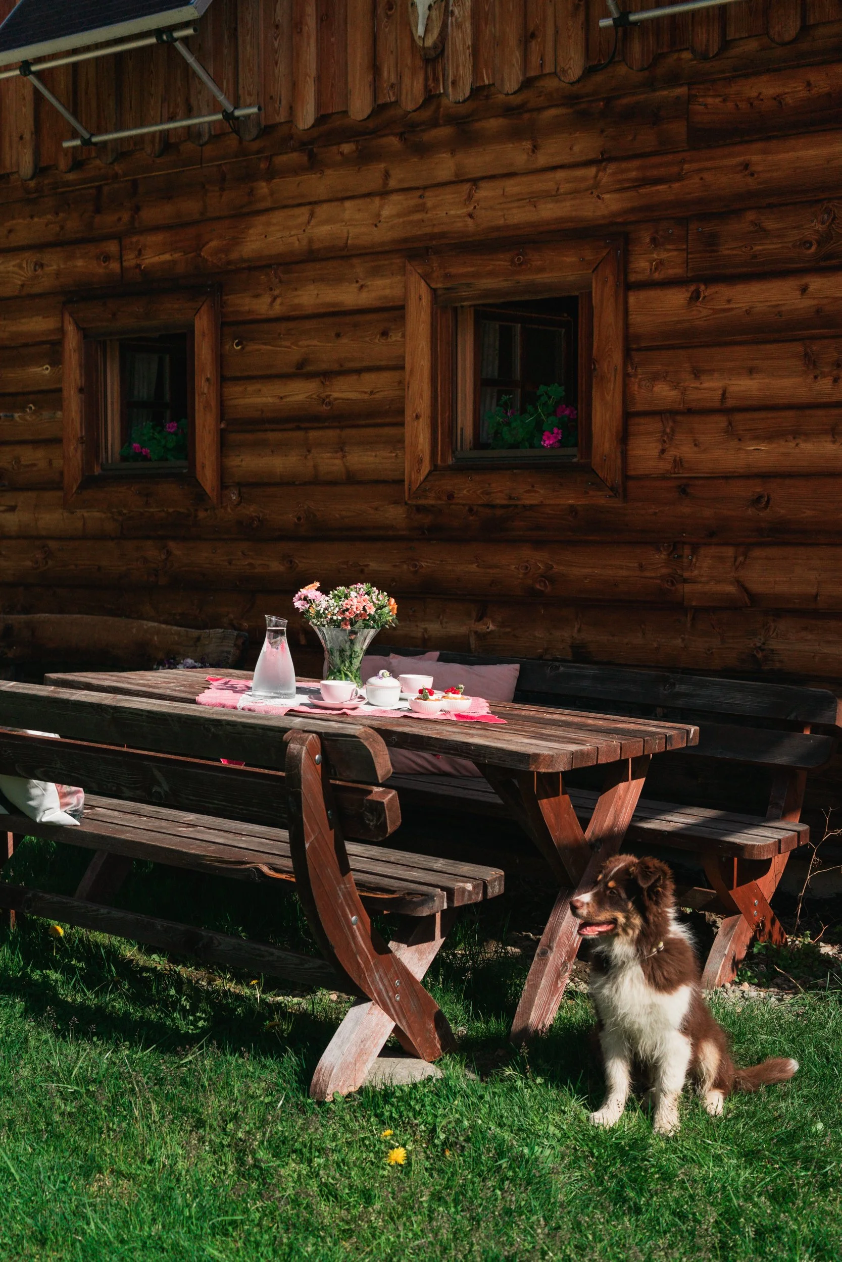 Holztisch mit Blumenarrangement, Kaffeetaschen und Dessert, vor einer Almhütte mit Fenstern und Blumenkästen; ein Hund sitzt im Gras daneben.