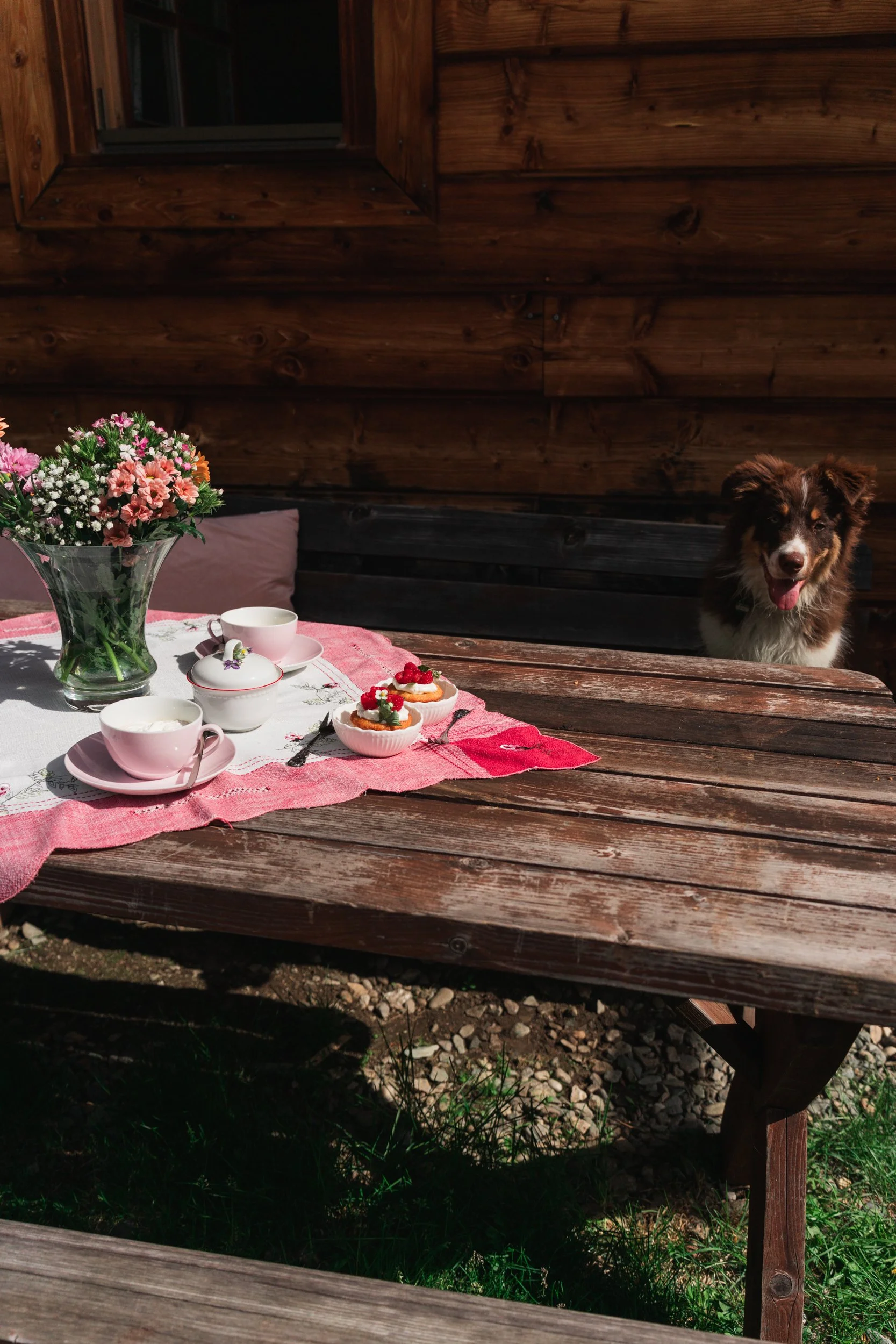 Tisch im Freien mit Blumenstrauß, Tassen, Dessert und Hund