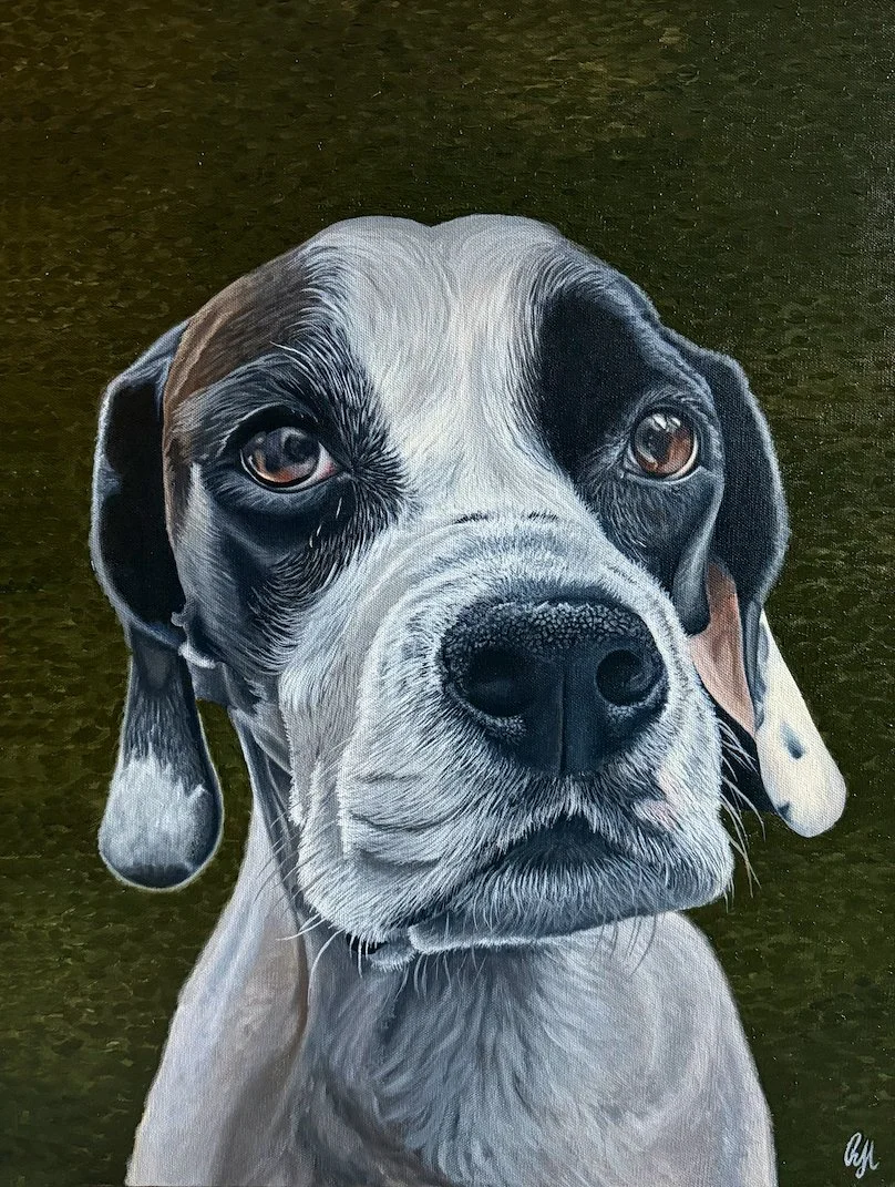 Pet Portraits